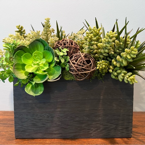 Other - Rustic Succulent Arrangement in Wood Container